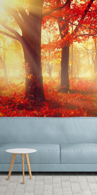 Poszter tájképTPT082